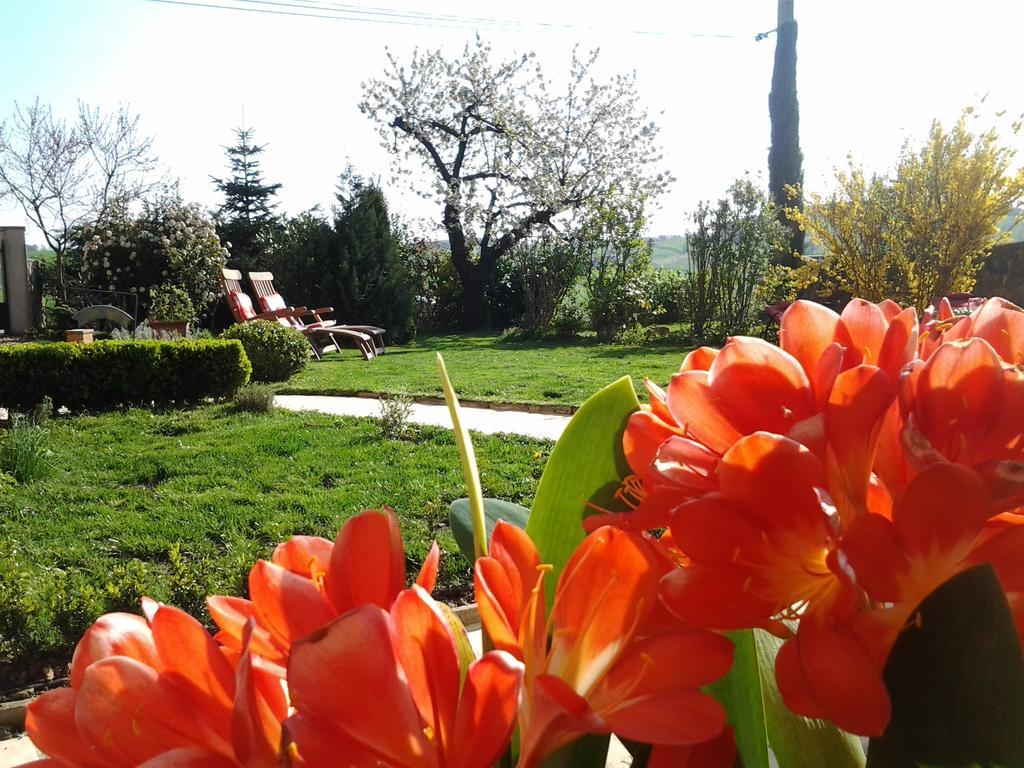 Bed and breakfast Le Clos Du Merle Savigny (Rhone)