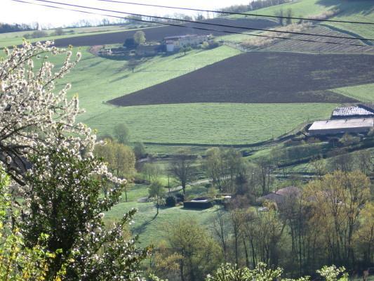 Bed and breakfast Le Clos Du Merle Savigny (Rhone)
